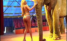 In the circus