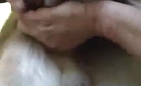 hombres con perro machos