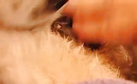 puffy puppy pussy