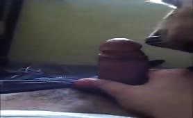 venida a lamidas oral