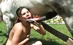 Sex in the field with Stallion