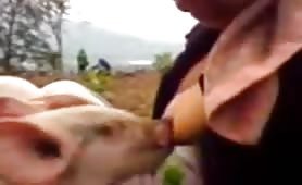 woman piglets