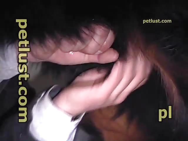 PB113 Jerking Dogs