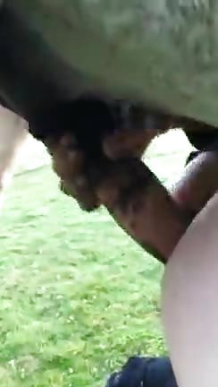 Take Stallion