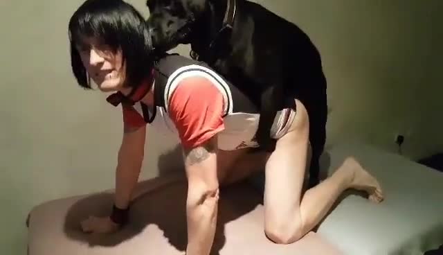 Wife Fucked By Family Dog