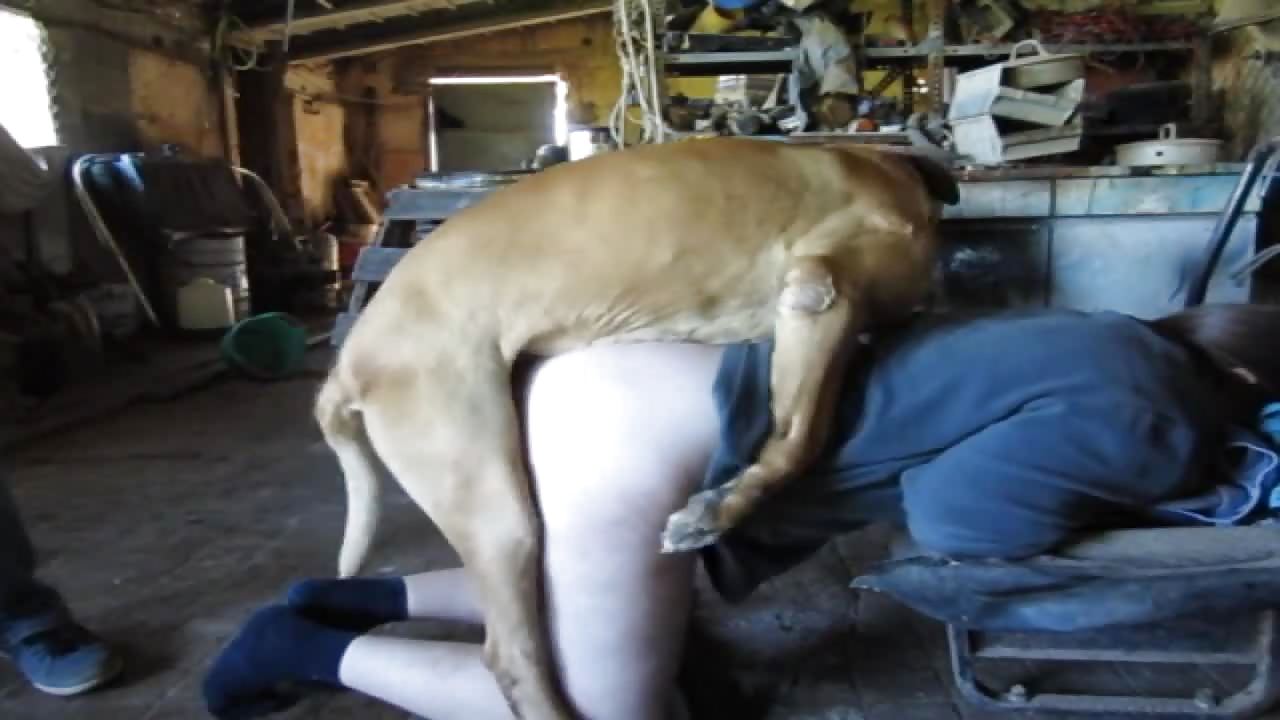 Española montada por un perro (Spanish teen doggy style by a dog)