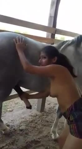 Girl Jerks Off Horse