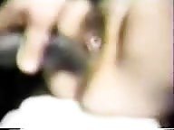 Horse 1