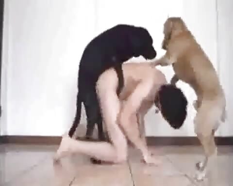 male dog fucking older guy