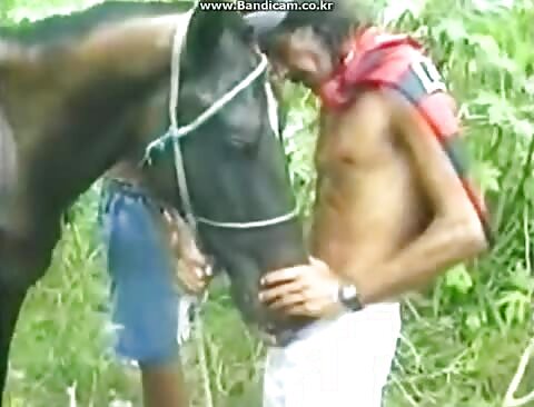 horse and man hot