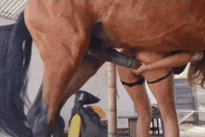 How Big Is Your Bell