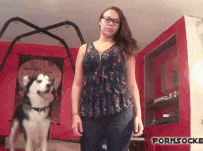 Girl and Husky at Home