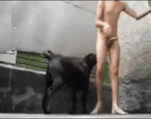 Young boy havig fun with dog