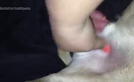 dog handjob