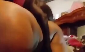 ebony and ivory black dog cock