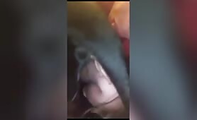 hungry latina dog sucker (1) e