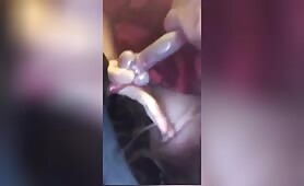 hungry latina dog sucker (2) - AnimalPorn rocks Beastiality Videos