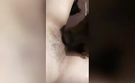 Zoosbook - Suck2