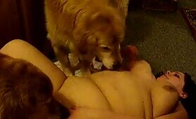 BBW Surrounded By Dog Cock [bbw-surrounded-by-dog-cock]