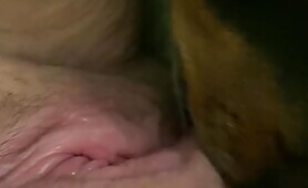 Dog licks a fat bbw pussy 2 [dog-licks-a-fat-bbw-pussy-2]