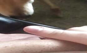 FtM gets pussy licked by dog [ftm-gets-pussy-licked-by-dog]