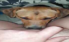 Horny teen licked by her dog [horny-teen-licked-by-her-dog]