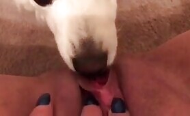 Milf licked by dog [milf-licked-by-dog]