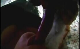 amateur blowjob dog [amateur-blowjob-dog]