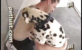 P108 Spotty Hump