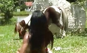 37017 3 girls torment a smal horsy