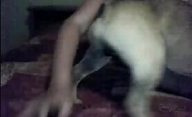 54240 doggy licks schoolgirl