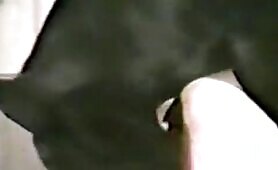 94808 amateur fuck labrador