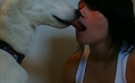 66299 french kissing dog