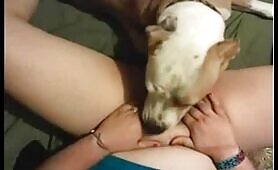  dog getting afternoon snack