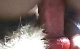 87399 latino riding the dog outdoor