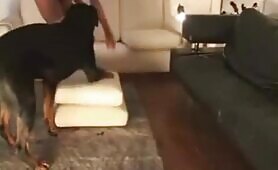 89231 dog takes women