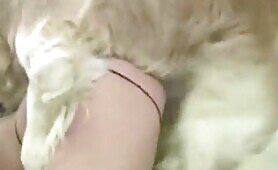 89306 two girls dog knot