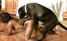 89326 black girl fucking dog