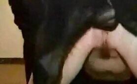 89329 sexy woman dog fuck