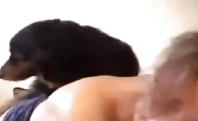 89330 dog fuck on bed