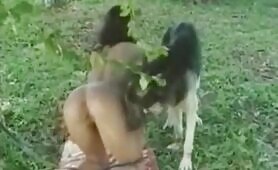 28012 brazilian chick lets dog fuck her outside