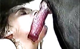 36667 amature blow job