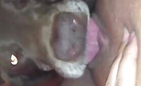 37179 nice licking