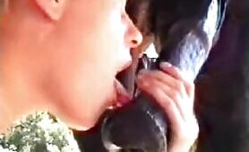 39338 horse blowjob