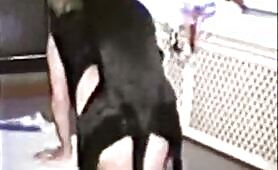 41794 hard dog fuck