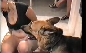 49740 schaferhund leckt pussy001