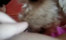 55147 licked