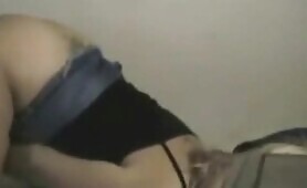 58708 cute blonde and black dog