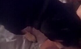 59902 ginger licks me clean