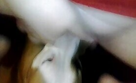 60398 hungry puppy loves to lick